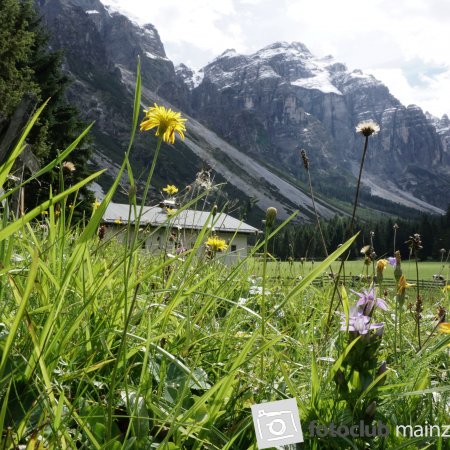 2026_Mitglied_Dieter_Rubner_Im Pinnistal 